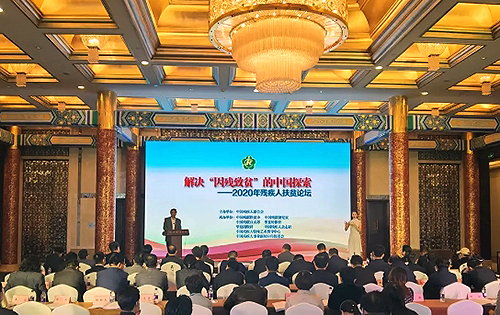 图为“解决因残致贫问题的中国探索”主题论坛现场