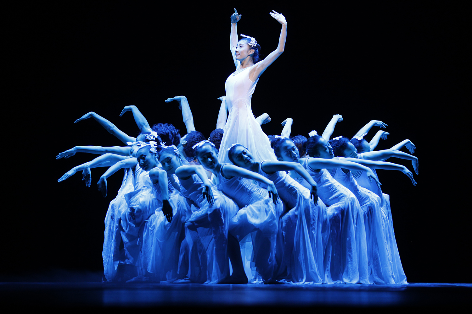 e4c99359bd55d3519dd119426f51513